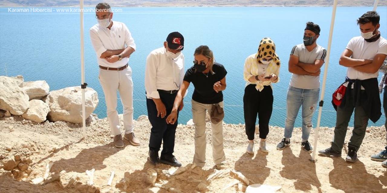 Kayseri'deki Kazılarda Yeni Tür Fosillere Ulaşıldı