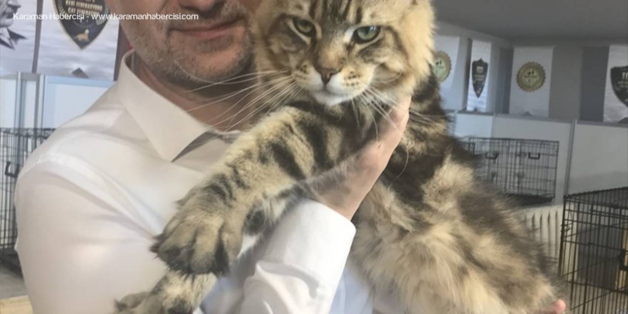 Hayvanseverleri Buluşturan Fuar Antalya'da Açıldı