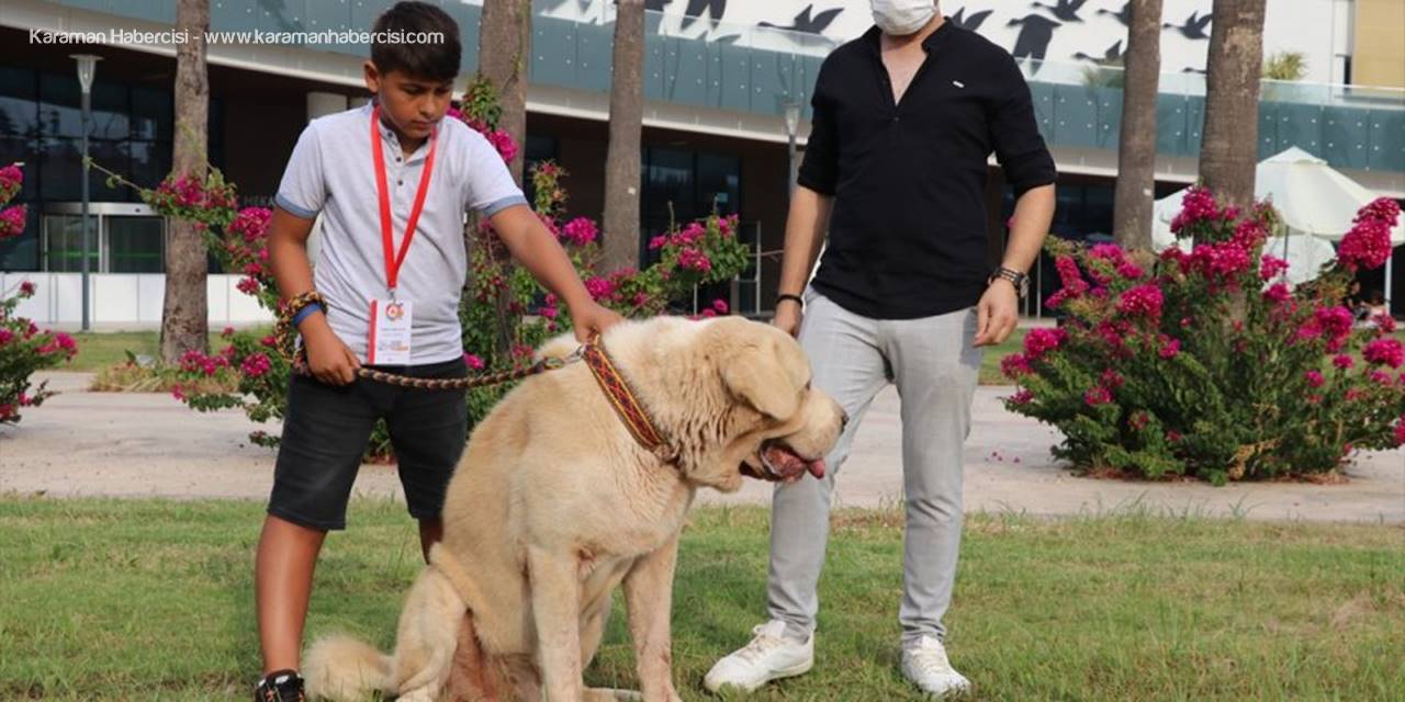 Antalya'da Hayvanseverlerin Buluştuğu "Petzoo" Fuarı Sona Erdi