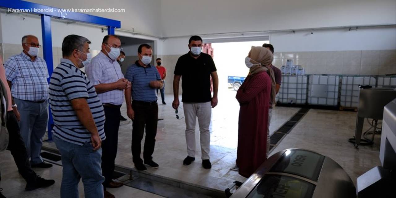 Mut Kaymakamı Muammer Köken'den Zeytinyağı Fabrikalarına Ziyaret
