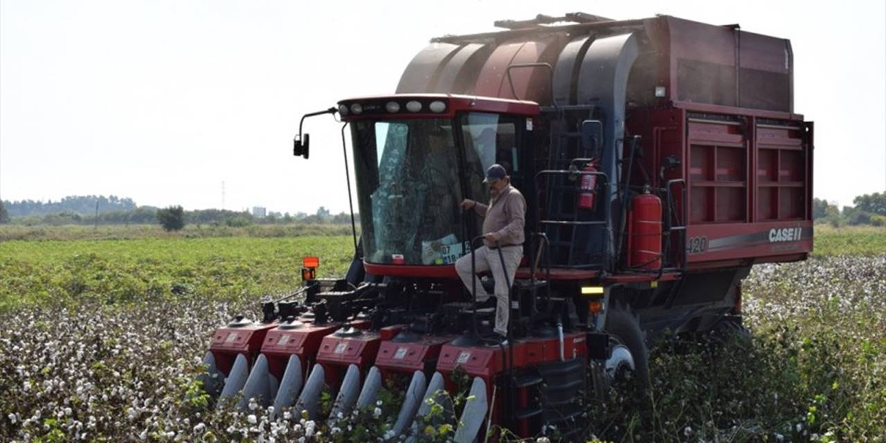 Antbirlik Kütlü Pamuk Alım Fiyatını 4 Lira 50 Kuruş Olarak Açıkladı