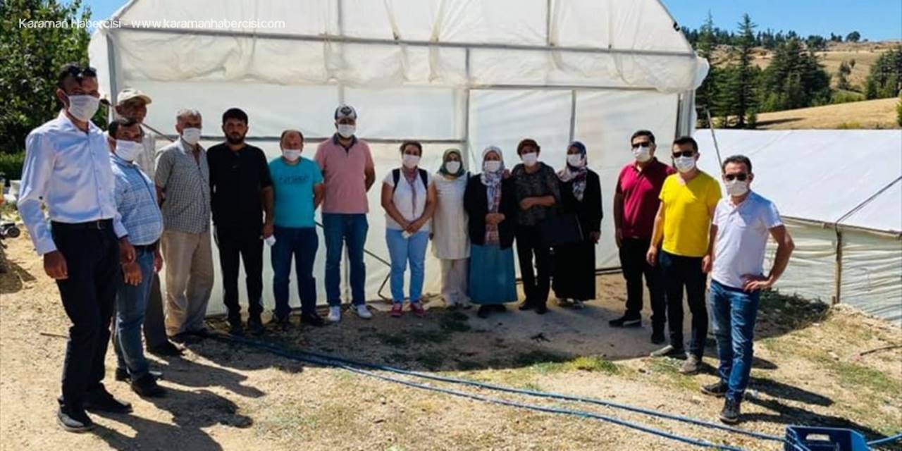 Bozkırlı Çiftçiler Seralarda İncelemelerde Bulundu