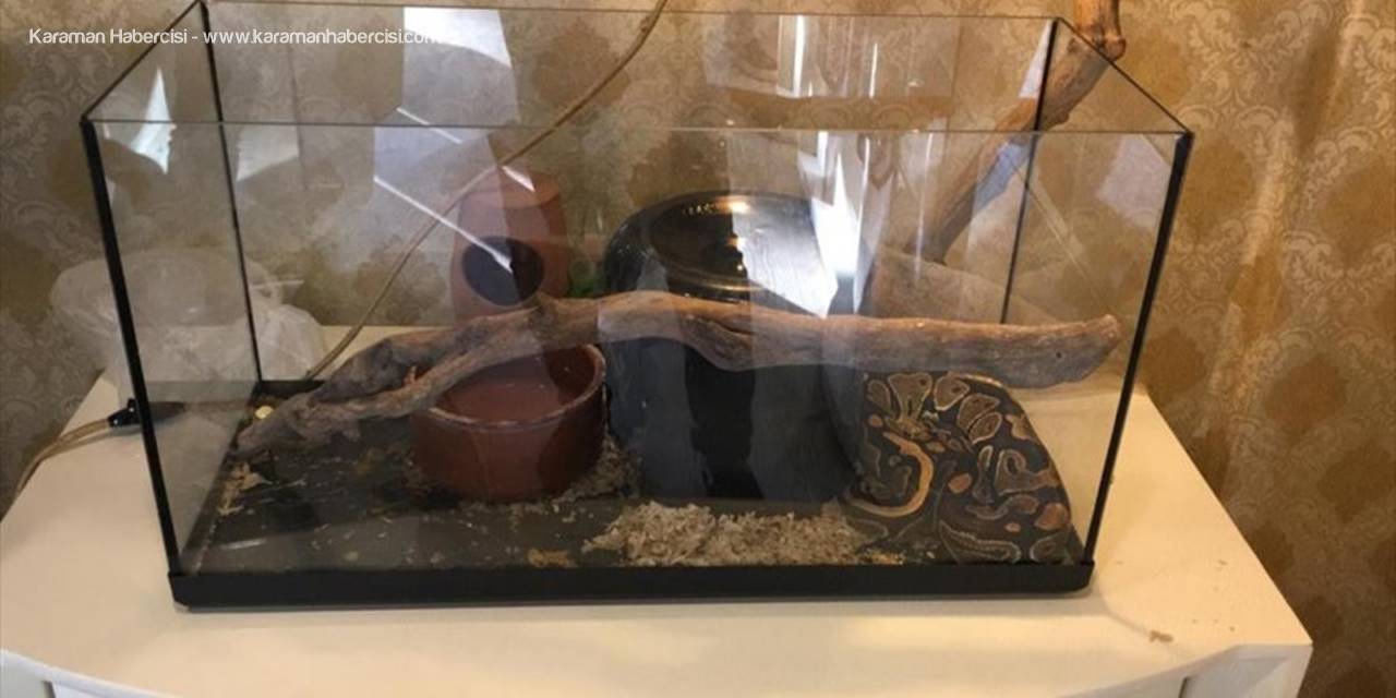 Tefecilere Borcu Yüzünden Siyanürle Eşini Ve Çocuklarını Öldürmüştü