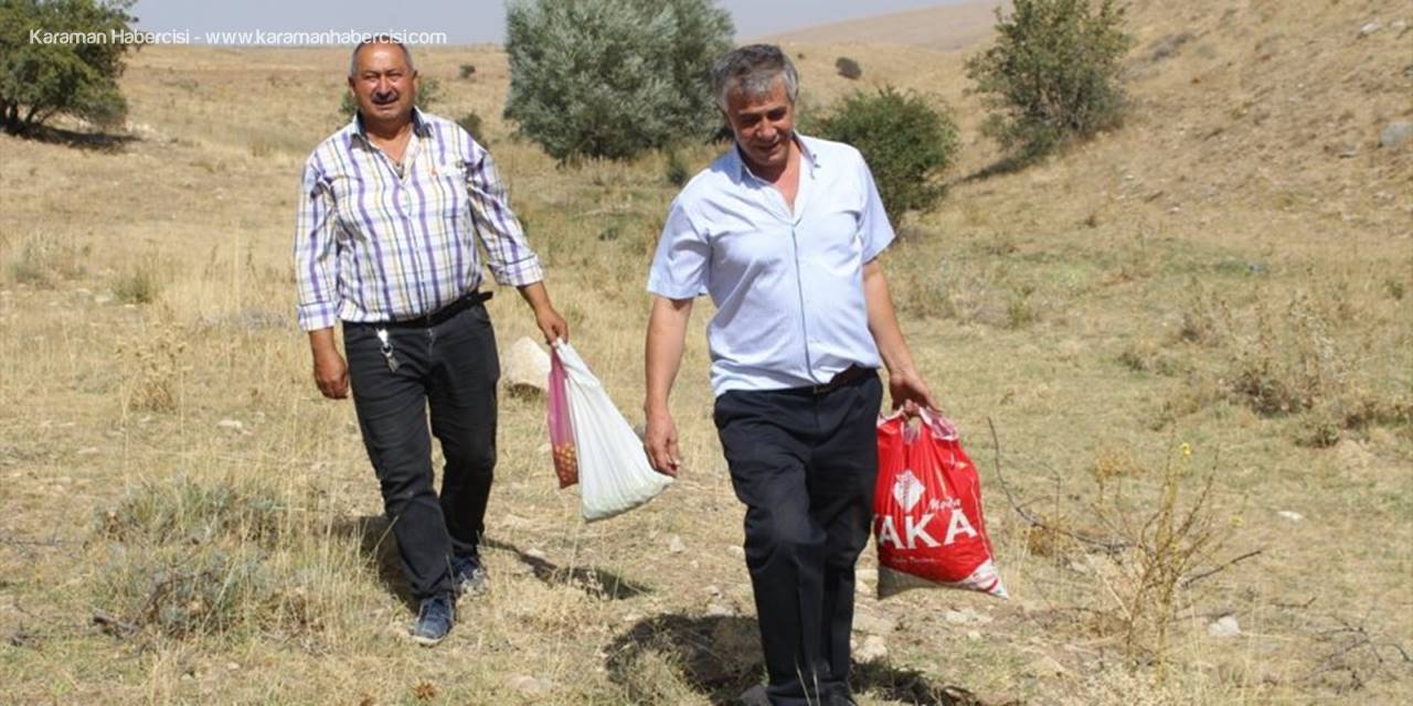 Alıç Salgın Sürecinde Yoğun İlgi Görüyor