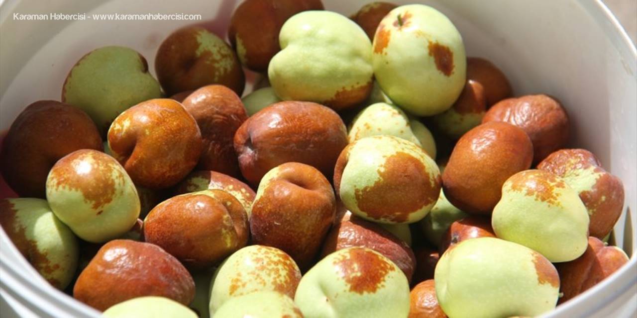 Konya'da Hünnap Yetiştiriciliği Yaygınlaştırılacak