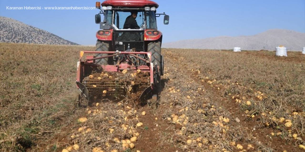 Kayseri'de Patates Hasadına Başlandı