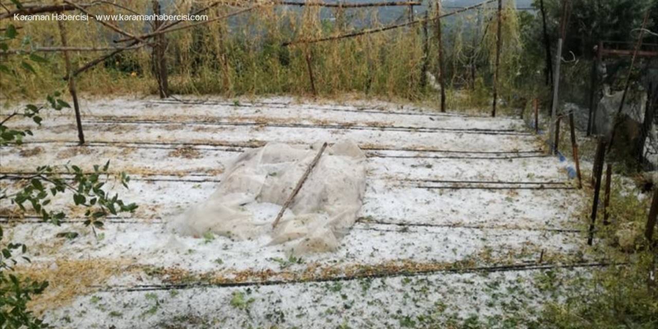Antalya'da Dolu Yağışı Meyve Ağaçlarına Zarar Verdi