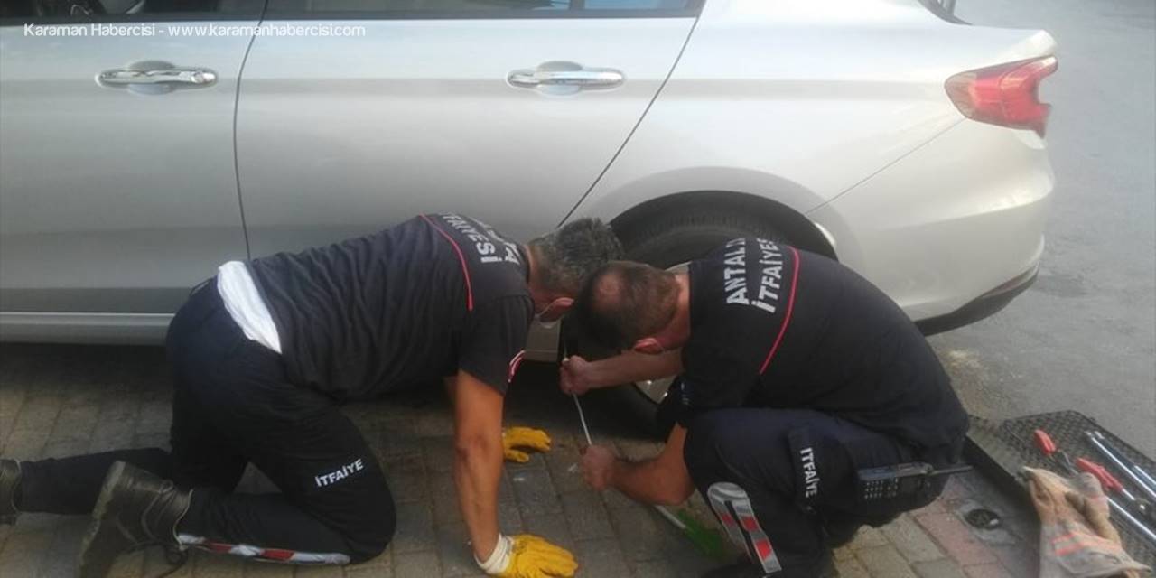 Antalya'da Otomobile Sıkışan Kedi Kurtarıldı