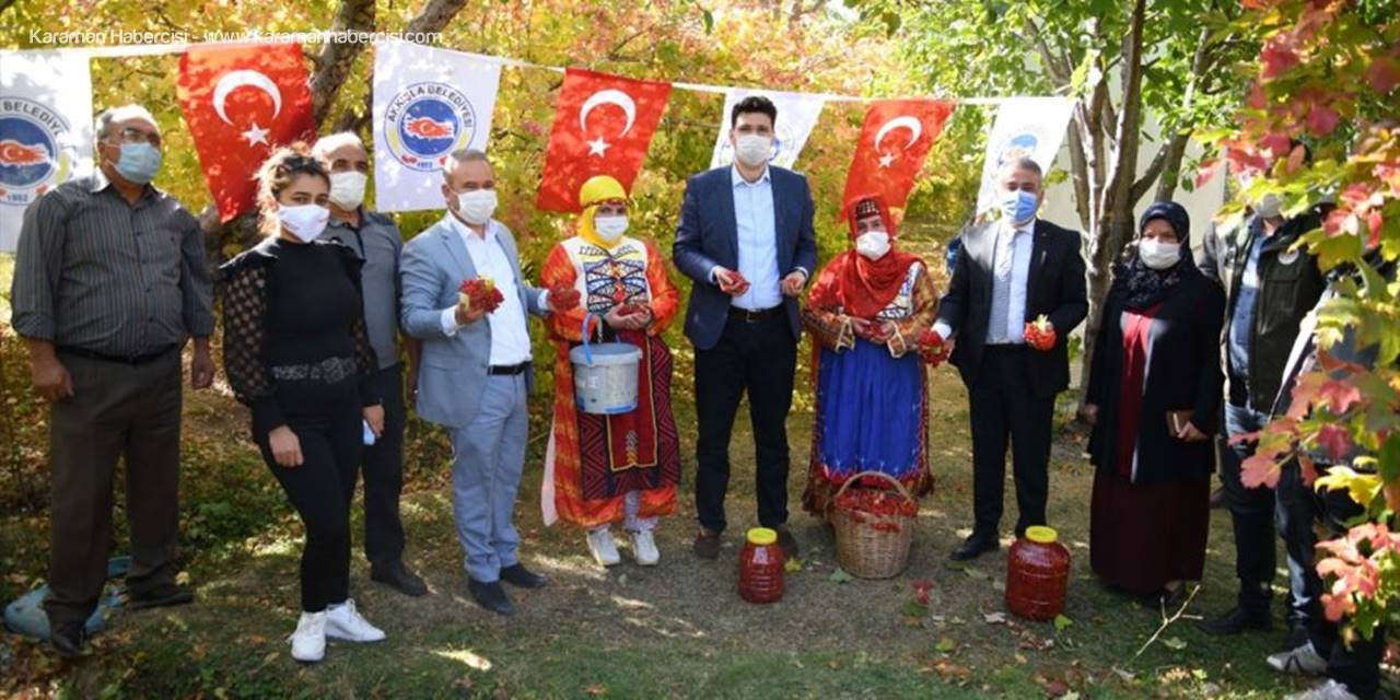 Tarım Ve Orman İl Müdürü Şahin Gilaburu Hasadına Katıldı