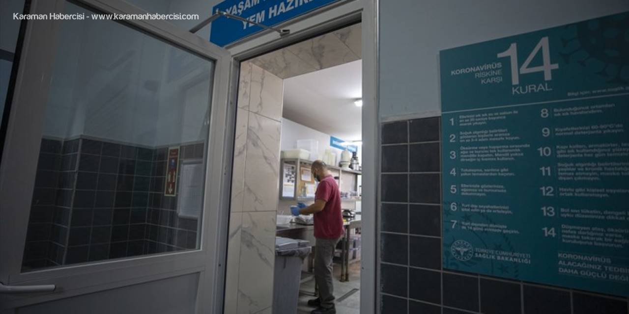 Akvaryum Dalgıçları Ekmek Parasını Köpek Balıklarını Besleyerek Kazanıyor