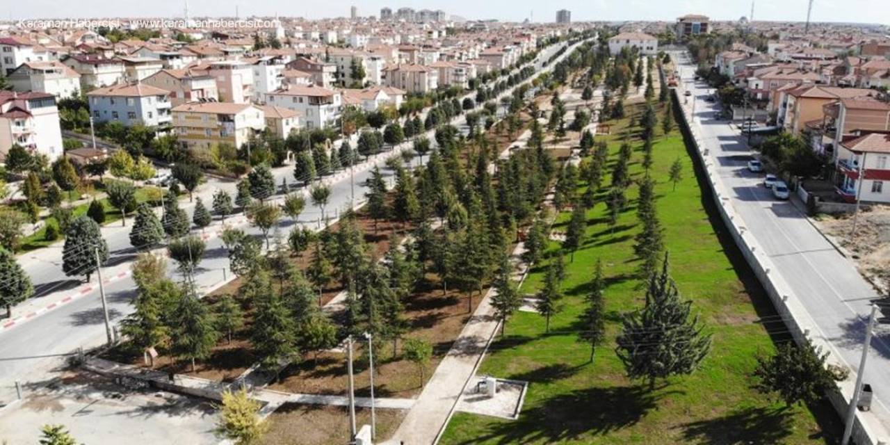 Karaman'da Koruluk Çalışmaları Devam Ediyor