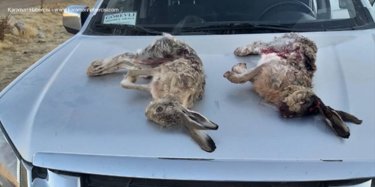 Karaman'da Kaçak Avcılara Ceza