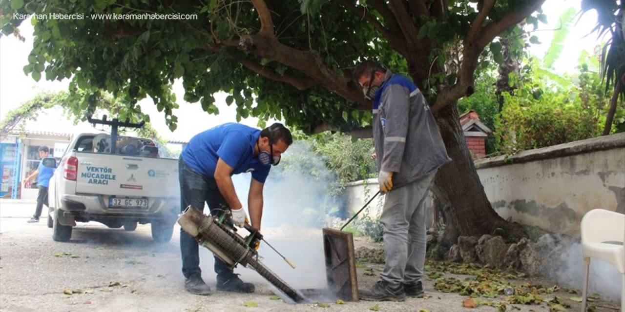Antalya'da Sinek Larvalarıyla Mücadele Çalışmaları