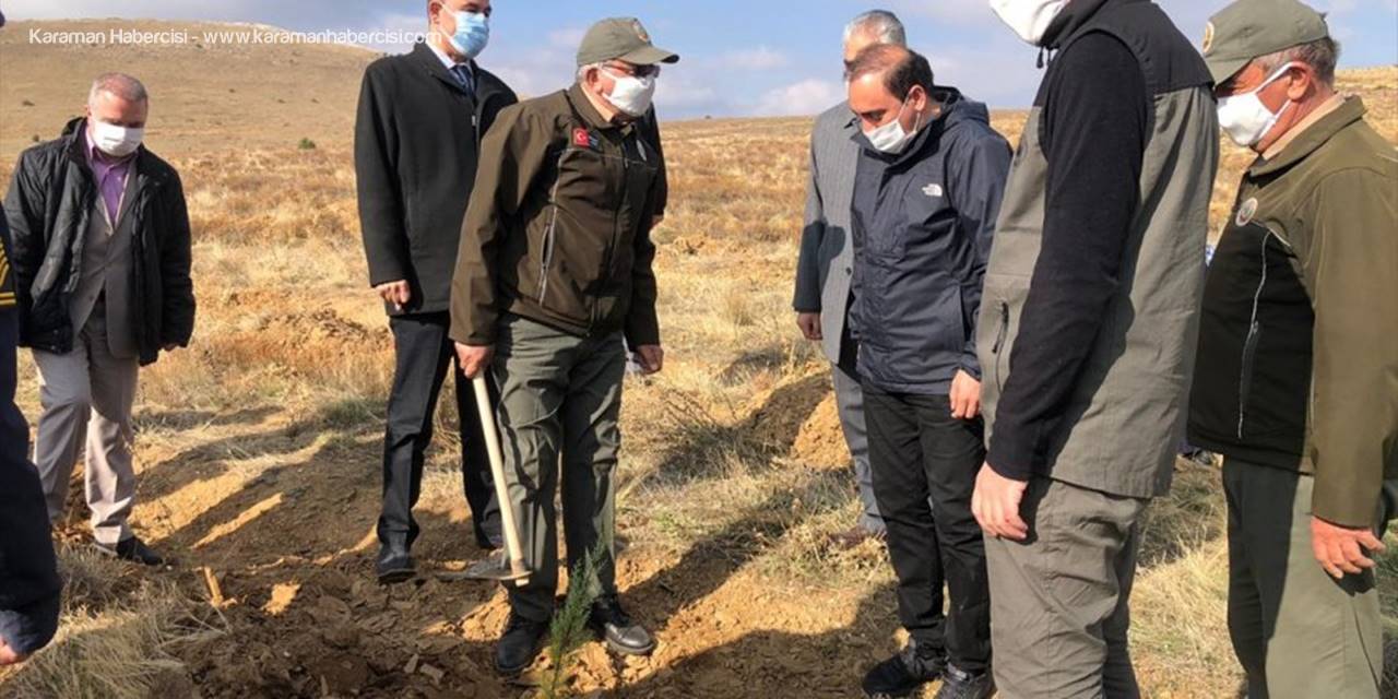 Hüyük'te "Geleceği Nefes" Sloganıyla Fidanlar Toprakla Buluşturuldu