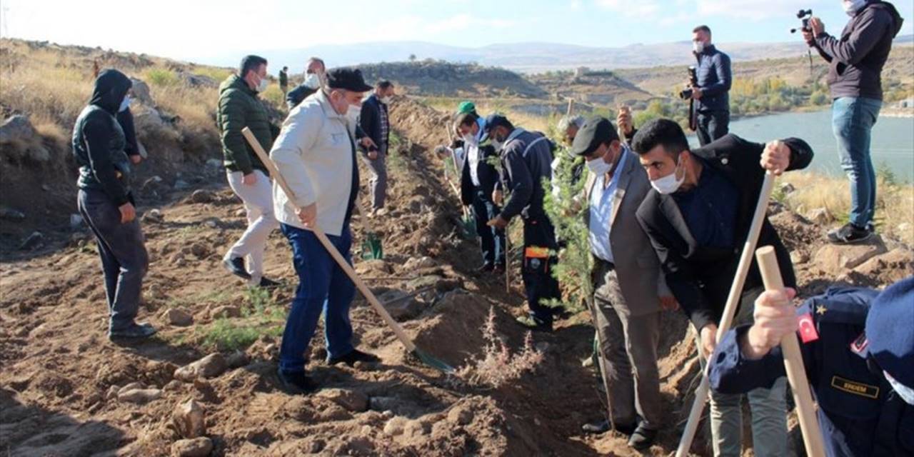 Kayseri'nin İncesu İlçesinde 600 Fidan Toprakla Buluştu