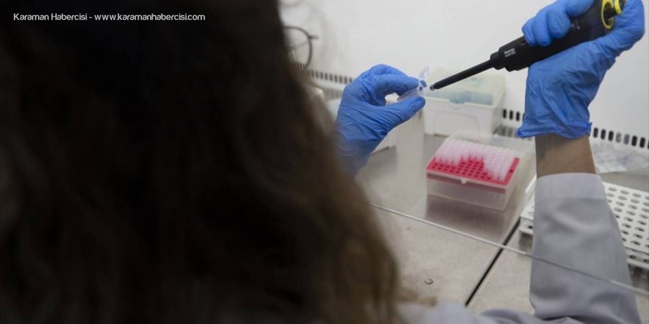 Kovid-19 Hastalarında Azalan Enzim, Yeşil Bitki Yapraklarında Üretildi