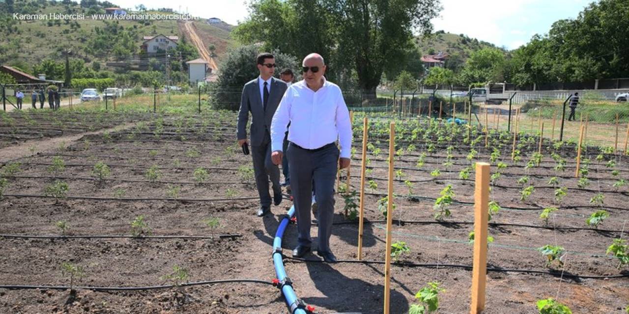 Keçiören Belediyesi Kış Bostanından İlk Hasadı Bekliyor