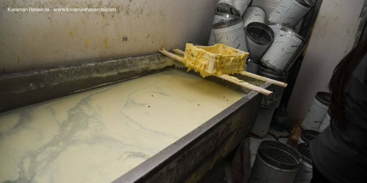 Kayseri'de Tüketime Uygun Olmayan 3 Ton Süt Ürünü İmha Edildi