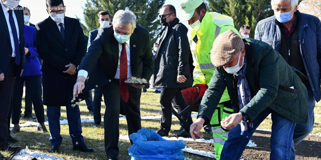 "Sevgi Çiçeği" Başkentte Koruma Altında Yetişecek