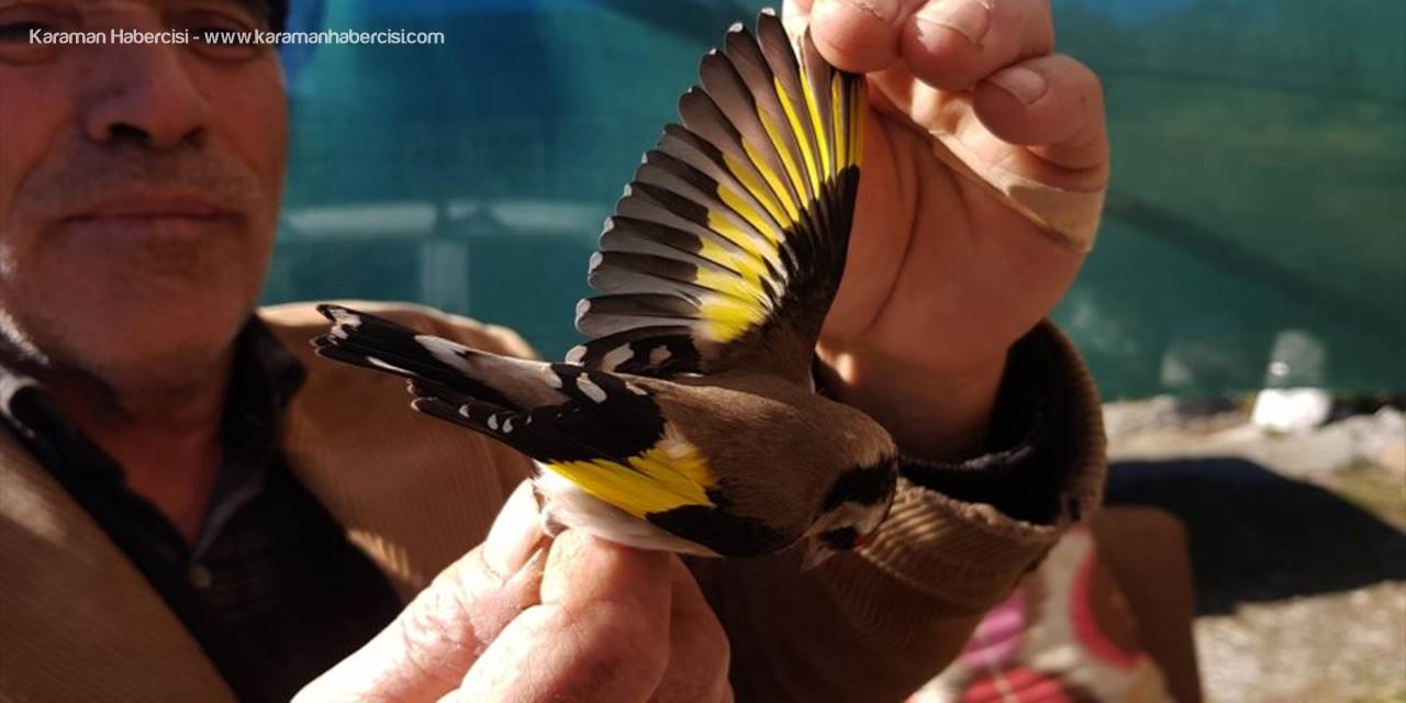 Nesli Tükenme Tehlikesinde Olan Yaralı Kuşa Esnaf Sahip Çıktı