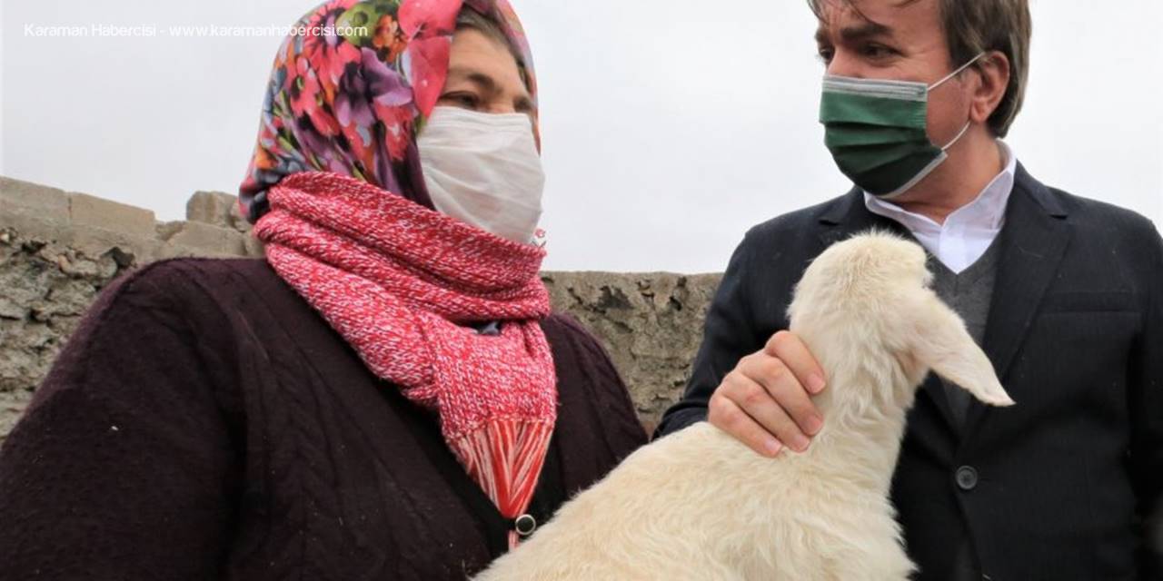 ‘Köyümde Yaşamak İçin Bir Sürü Nedenim Var’ Projesi