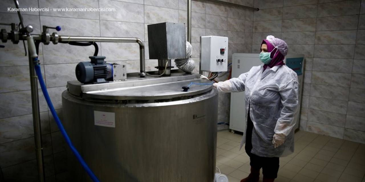 Hürmetçi Sazlığı'nın Manda Sütü, Belediyenin Kurduğu Tesiste Markalaştı