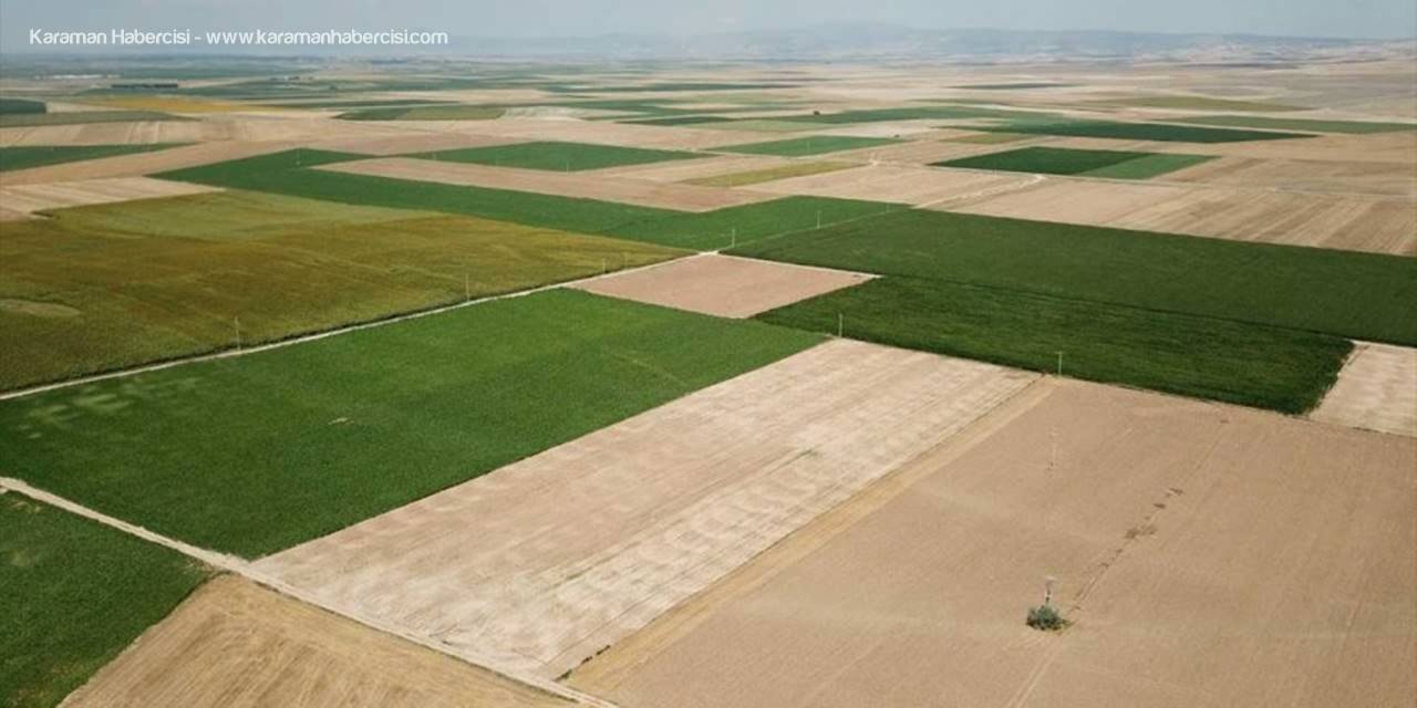 Eskişehir'de 2020 Yılında 14 Bin Hektar Alan Toplulaştırıldı