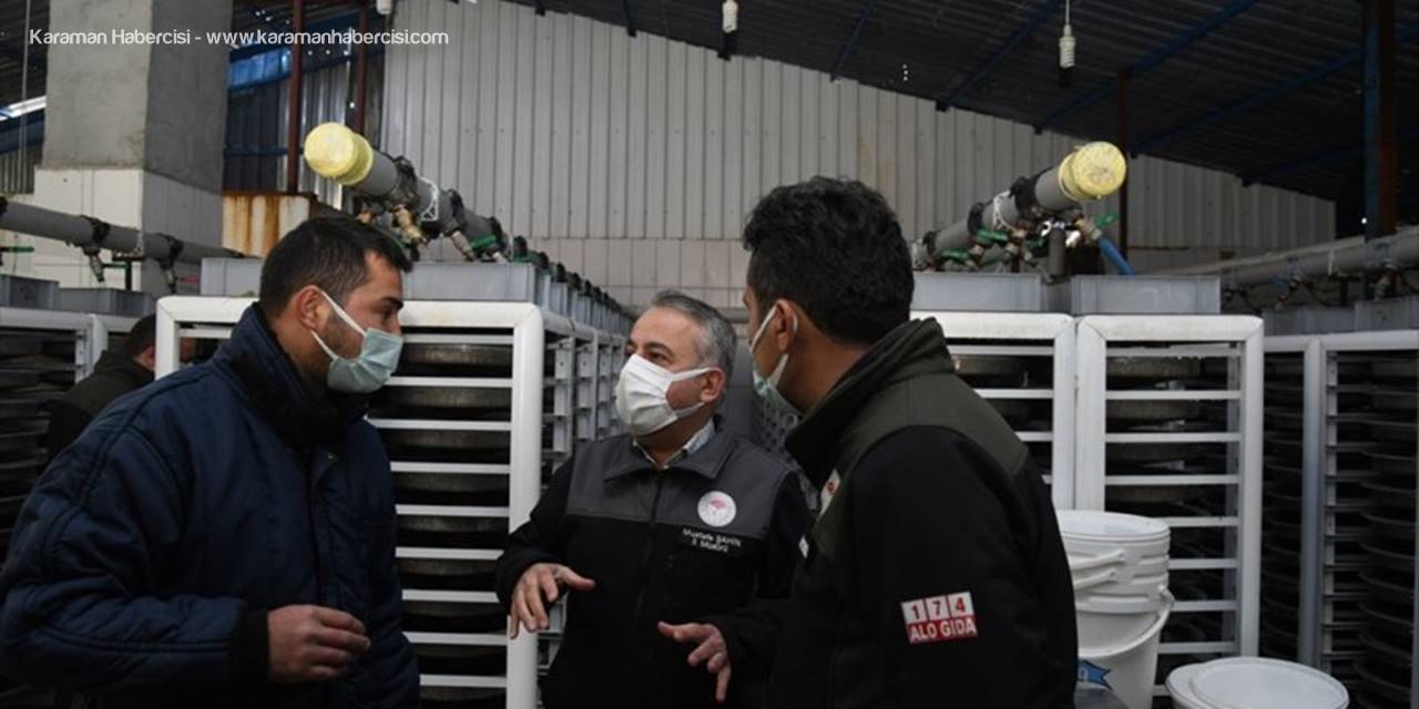 Kayseri Tarım Ve Orman Müdürü Mustafa Şahin Alabalık Kuluçkahanelerini İnceledi