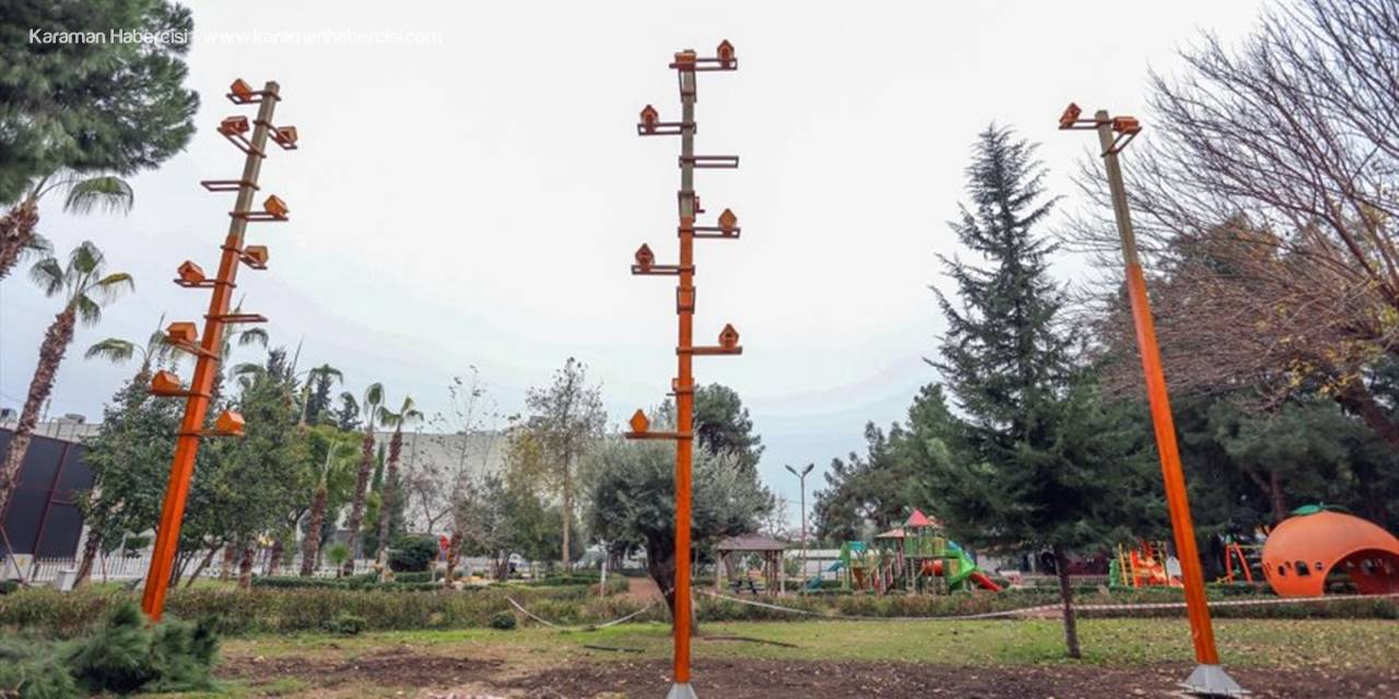 Kepez'de Parklara Kuş Evleri Yerleştiriliyor