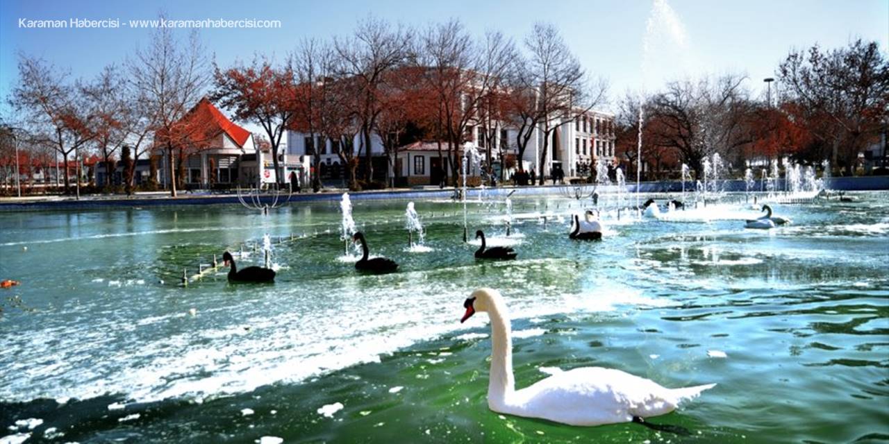 Konya'da Kuğular Buz Tutan Havuzda Güzel Görüntüler Oluşturdu