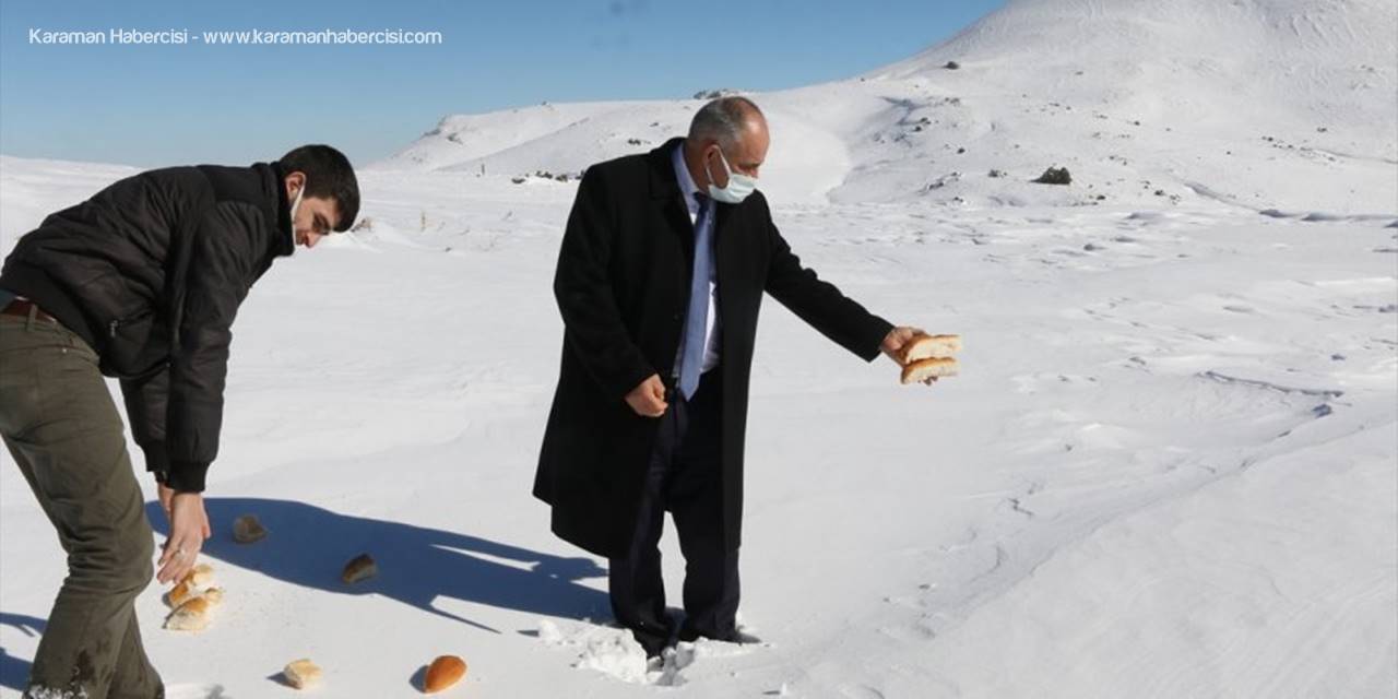 Aladağlar Milli Parkı'nda Yaban Hayvanlarına Yem