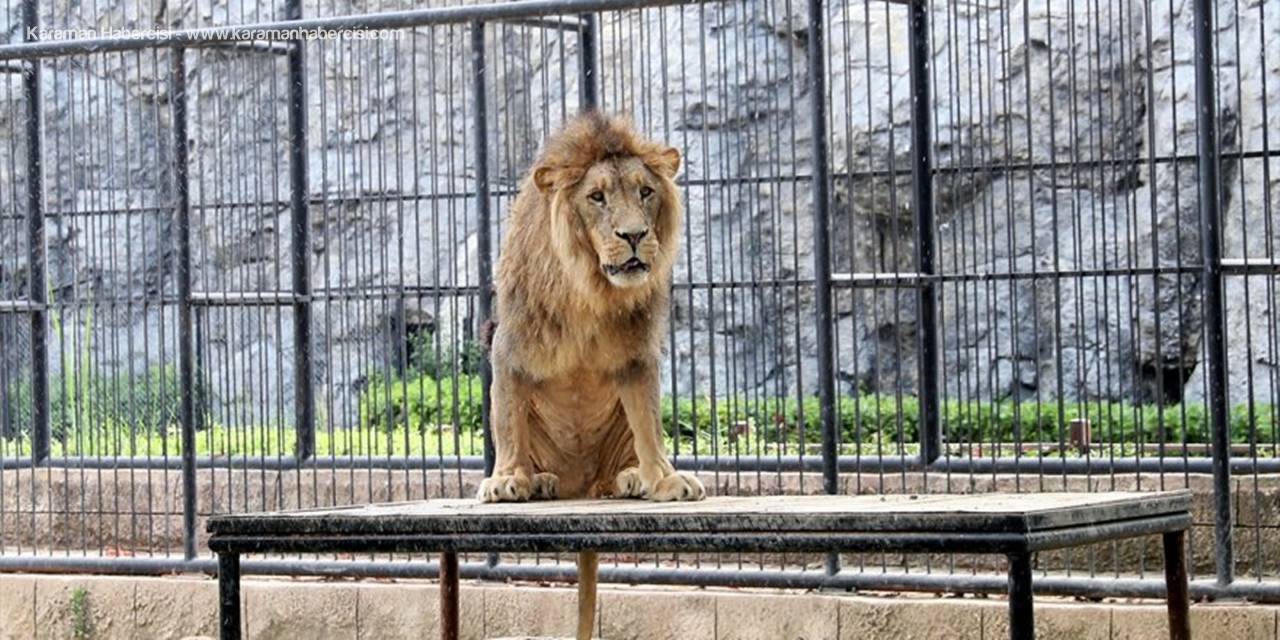 Tarsus Doğa Parkı, Tatile Çıkan Öğrencileri Ücretsiz Misafir Edecek
