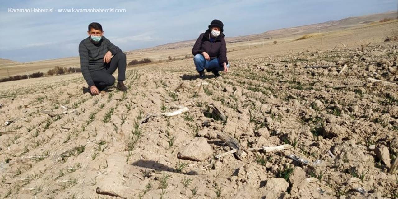 Kayseri'de "Yerli Ve Milli Tohumun Ulaşamadığı Çiftçi Kalmasın Projesi"