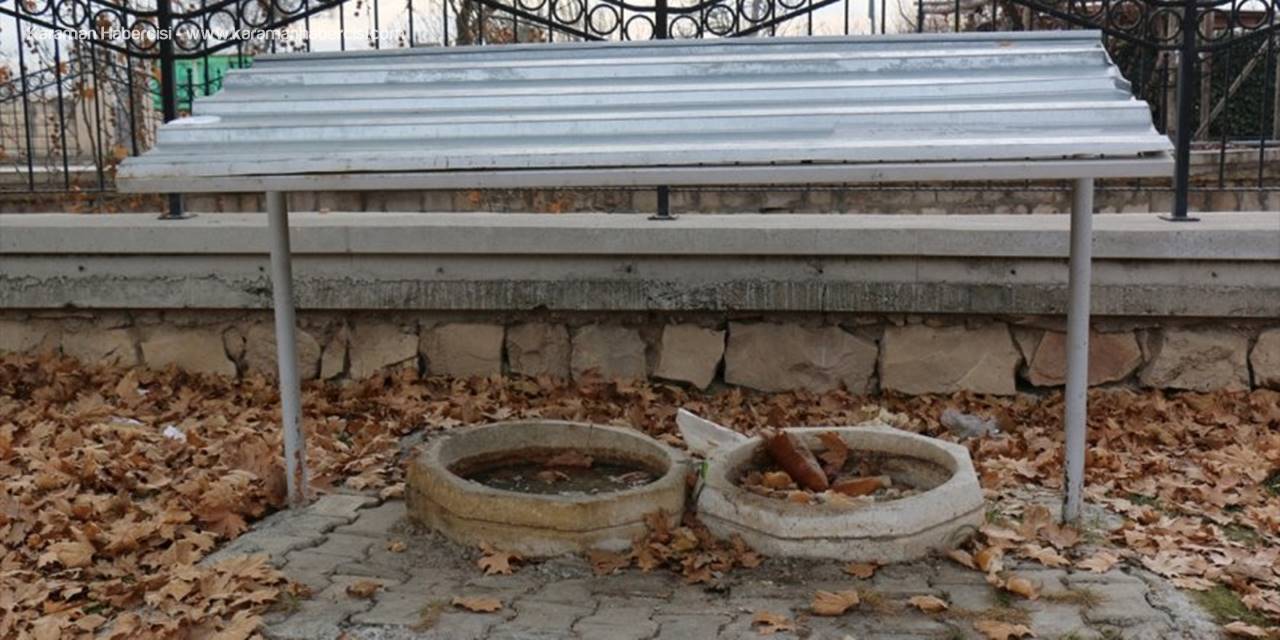 Koski "Kuş Tası" İle Sokak Hayvanlarının Su İhtiyacını Gideriyor