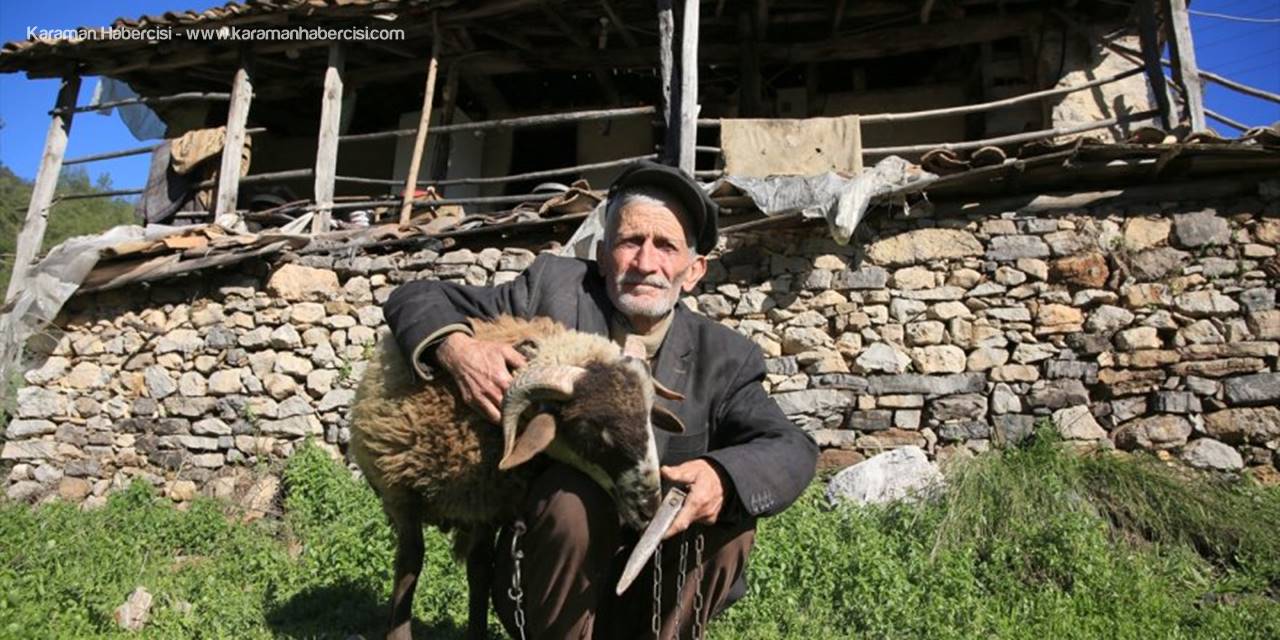 Eşinin Tek Emaneti Koça Gözü Gibi Bakıyor