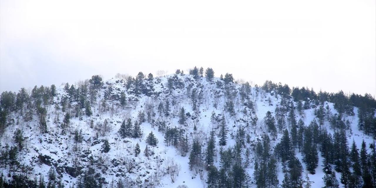 Mersin'in Yüksek Kesimleri Beyaza Büründü