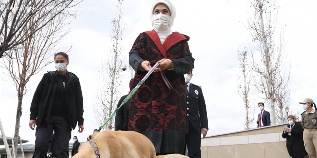 Külliye'deki Atıklar Geri Dönüştürülerek Sokak Hayvanlarına "Yuva" Oldu