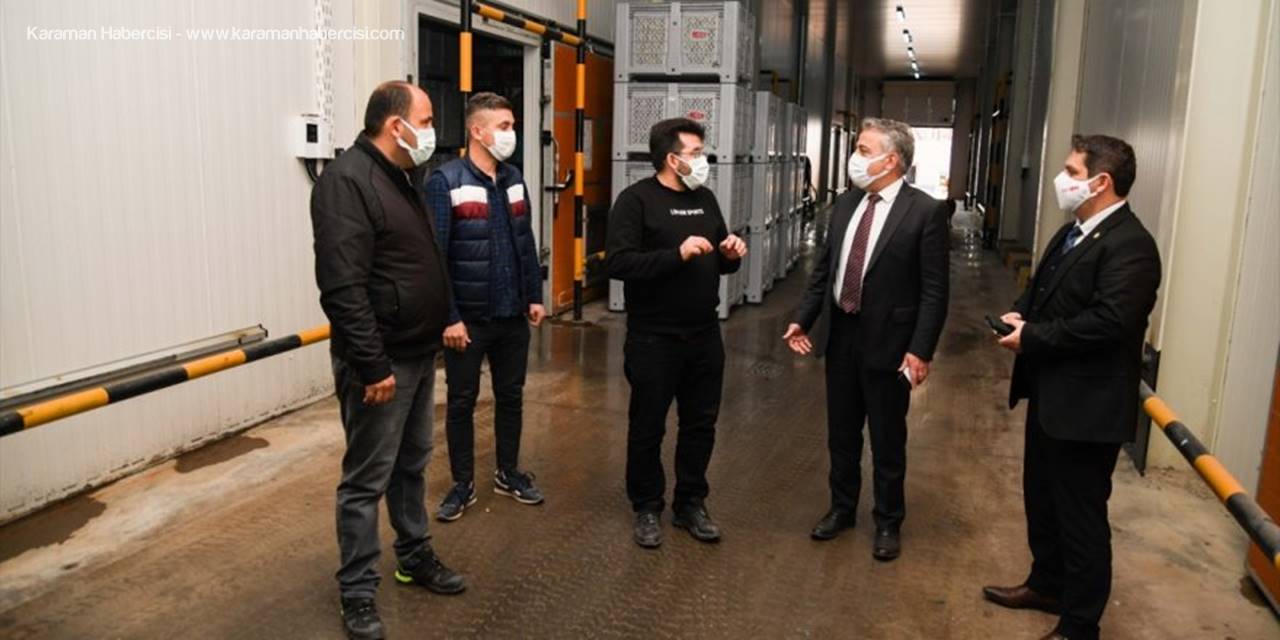Elma Üretiminin Yüzde 6,7'si Kayseri'den Karşılanıyor