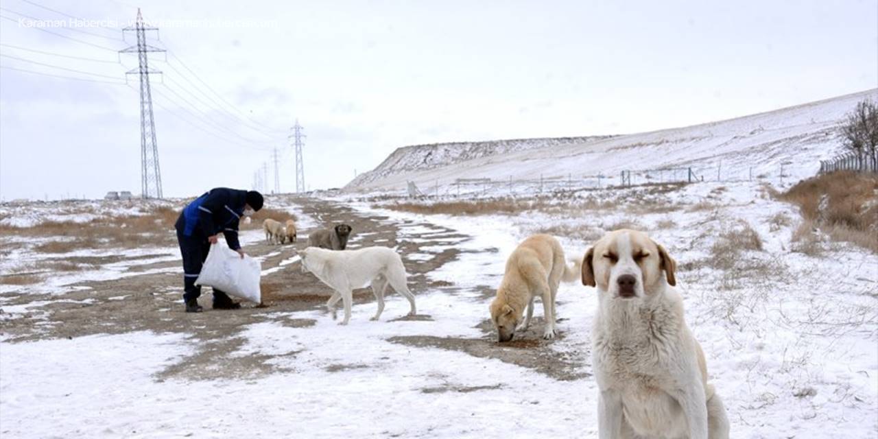 Konya Büyükşehir Belediyesi Karlı Günlerde Onları Unutmadı