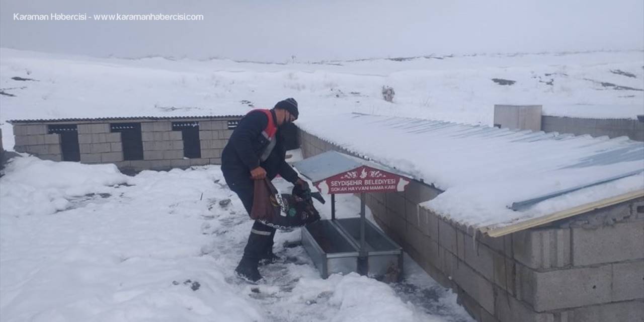 Seydişehir Belediyesi, Sokak Hayvanları İçin Doğaya Yem Bıraktı
