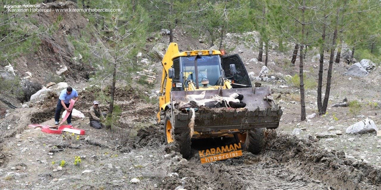 Antalya'da uçuruma yuvarlanan inek iki gün sonra kepçeyle kurtarıldı