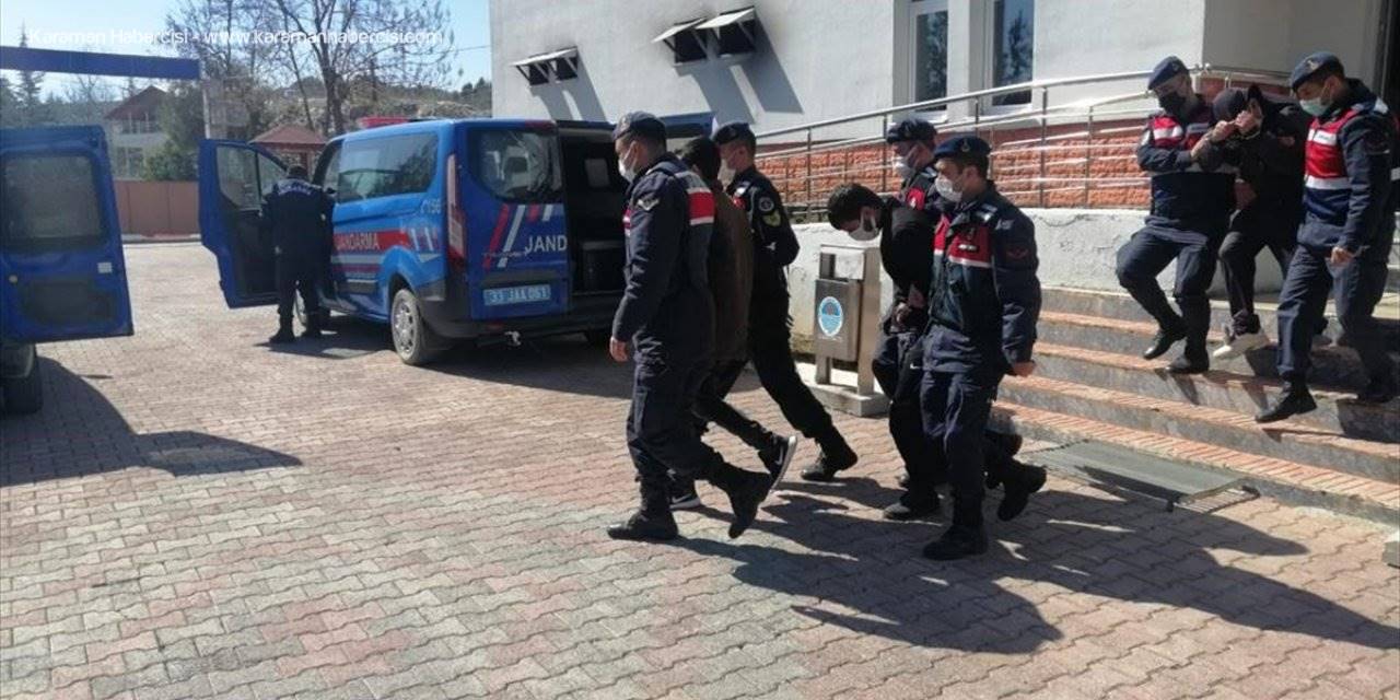 Mersin'de Yayla Fareleri Yakayı Ele Verdi