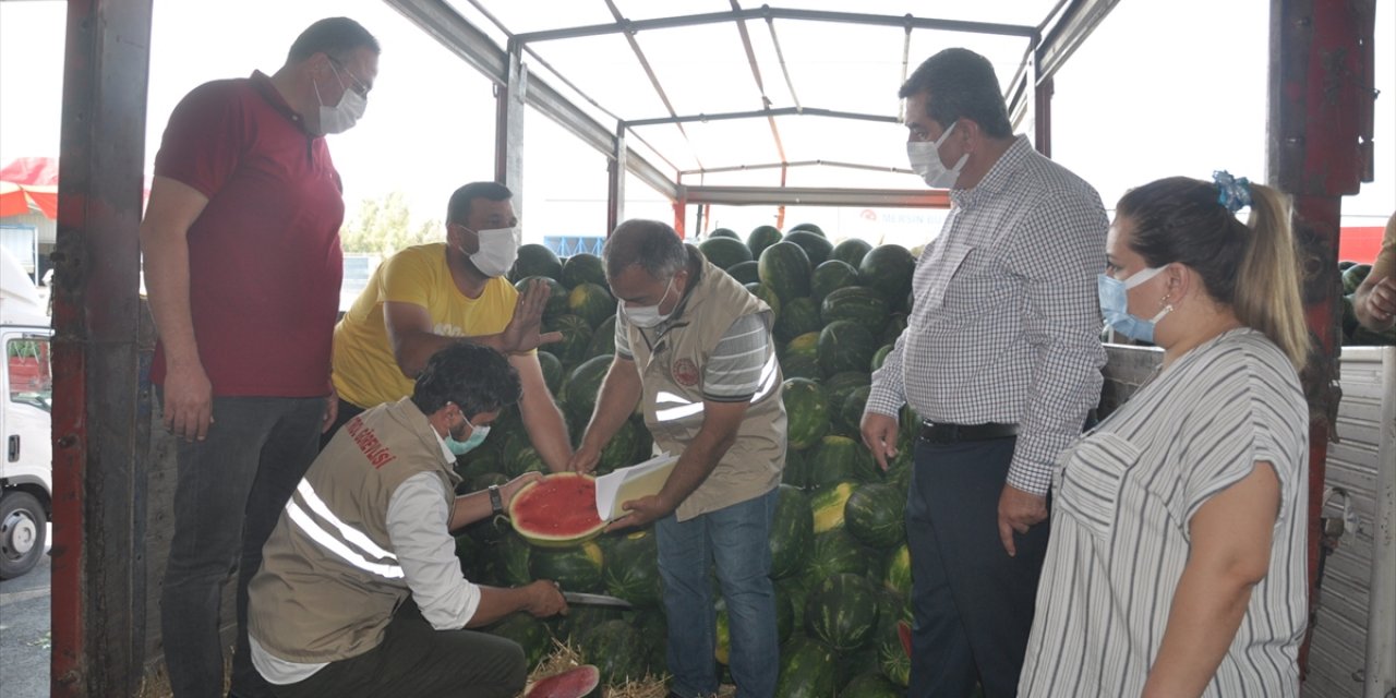 Mersin'de "ham Kavun, Karpuz Timi" Olgunlaşmamış Ürünü Hasat Ettirmeyecek
