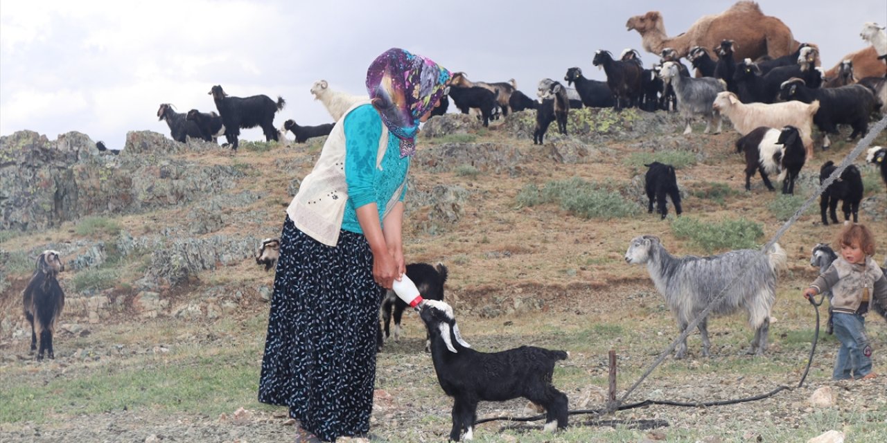 Sarıkeçili Yörükler İçin Göç Telaşı