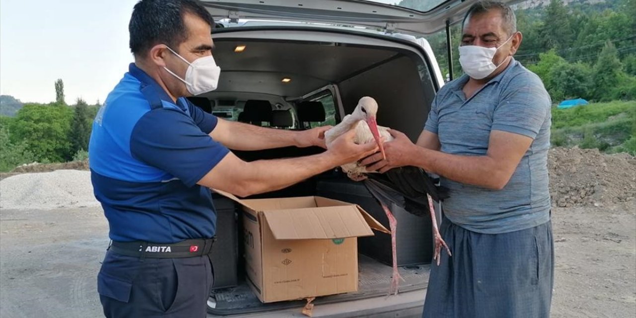 Mersin'de Yaralı Bulunan Leylek Tedavi Altına Alındı
