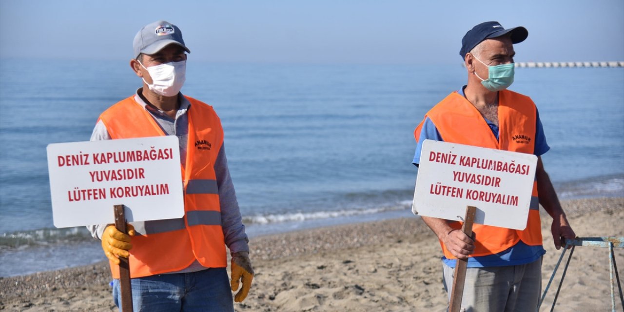 Anamur Sahiline Anaç Deniz Kaplumbağaları İçin Uyarı Levhaları Konuldu