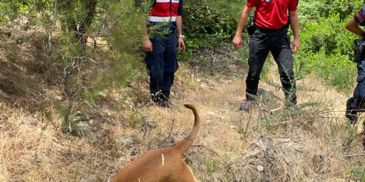 Antalya'da Fotoğraf Çekmek İçin Gittiği Dağlık Bölgede Kaybolan Kişiyi Arama Çalışmaları Sürüyor