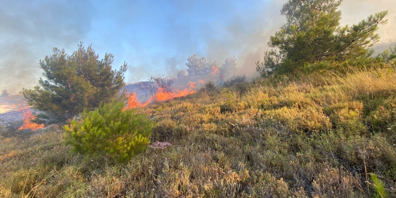 Mersin'de Çalılık Alanda Çıkan Yangın Söndürüldü