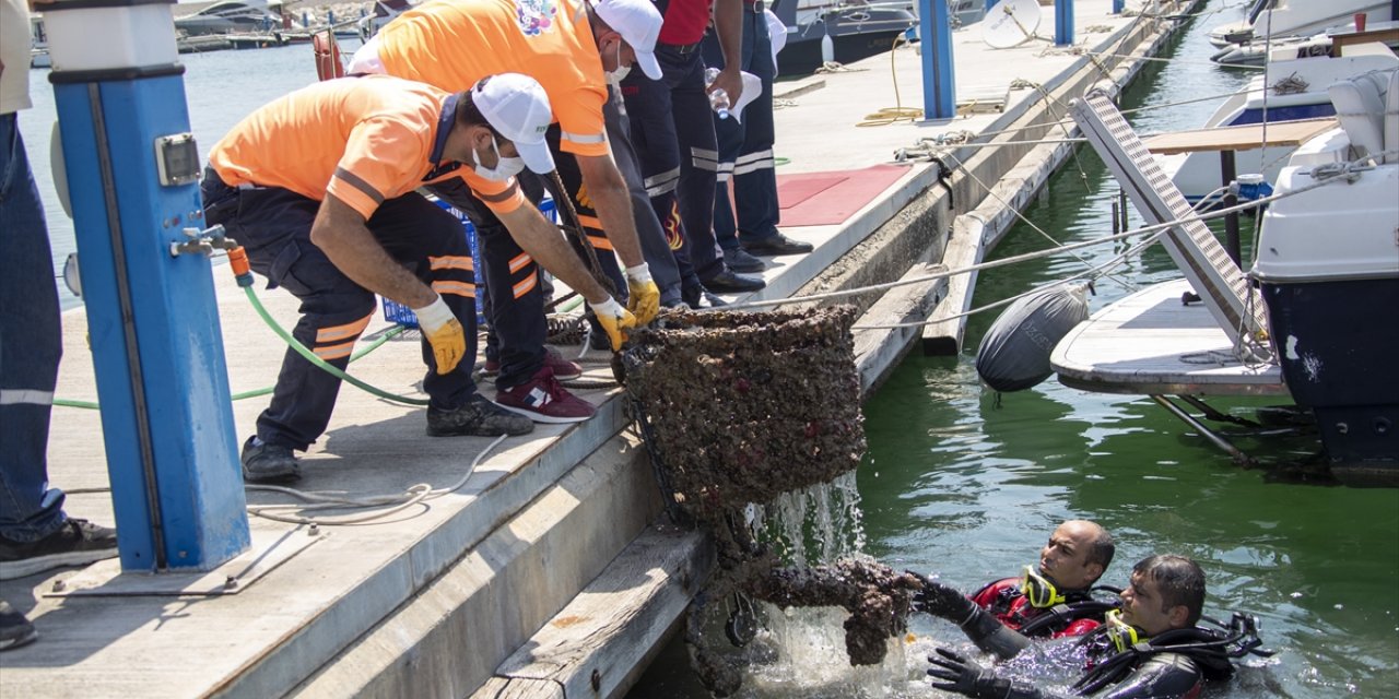Mersin'de Deniz Dibinden Alışveriş Sepeti, Halat Ve Plastik Atıklar Çıktı