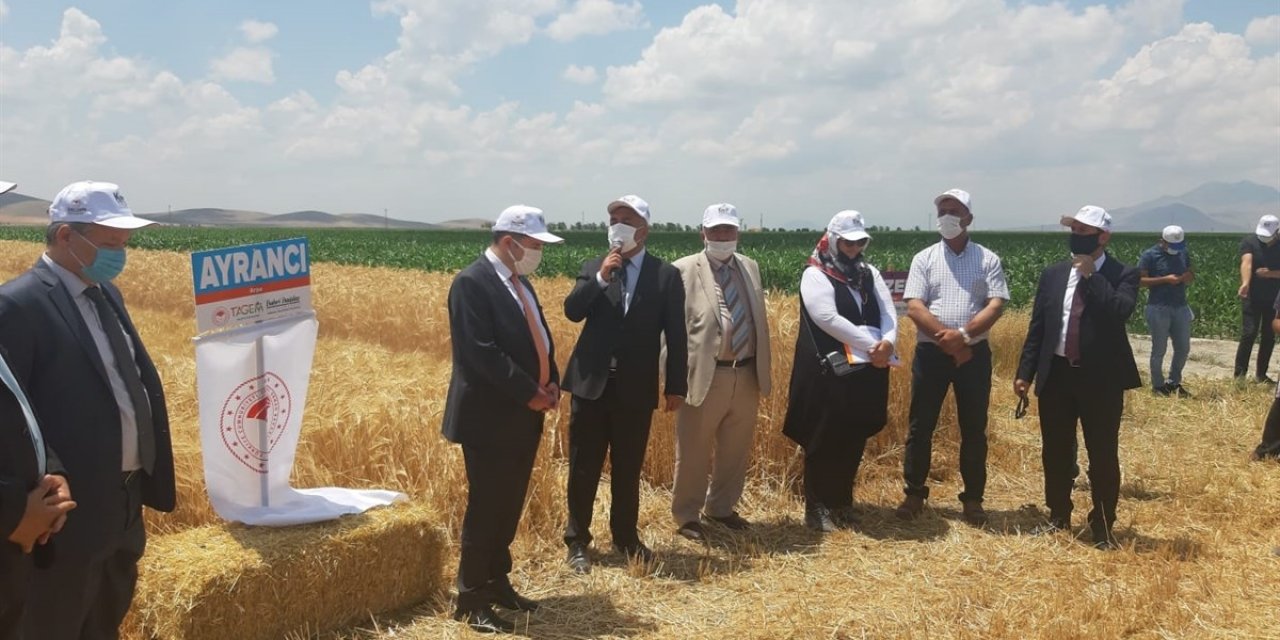Karaman'da Kurağa Dayanıklı Çeşitlerin Tanıtılması İçin Tarla Günü Düzenlendi